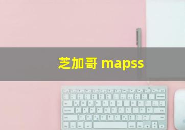 芝加哥 mapss